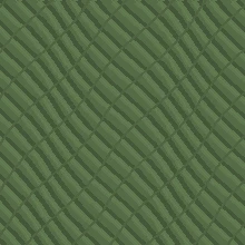Verde Musgo